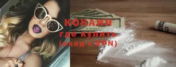 индика Армянск
