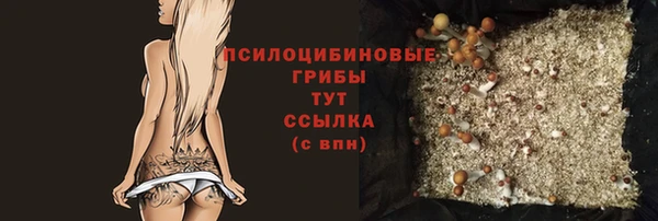 прущий лед Арсеньев