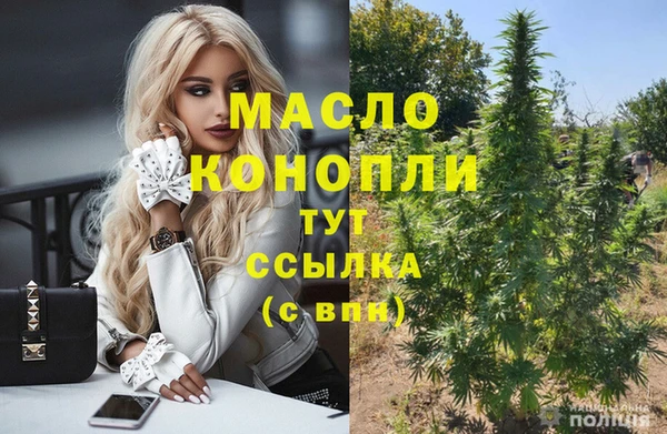 индика Армянск