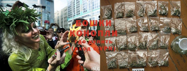 PSILOCYBIN Аркадак