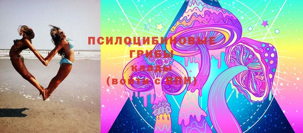 PSILOCYBIN Аркадак