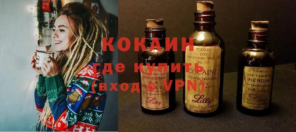 PSILOCYBIN Аркадак