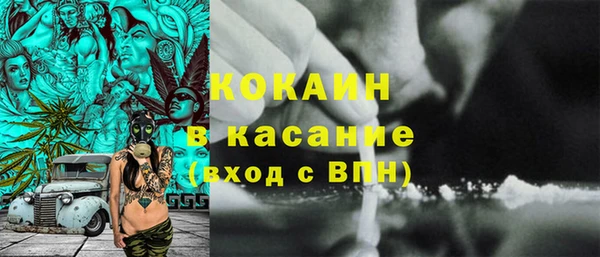 PSILOCYBIN Аркадак