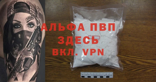 PSILOCYBIN Аркадак