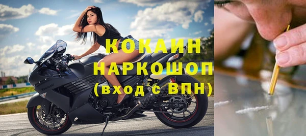 индика Армянск