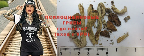 PSILOCYBIN Аркадак