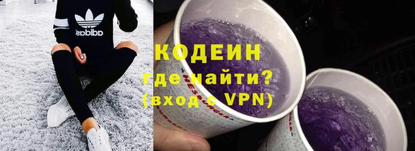 индика Армянск